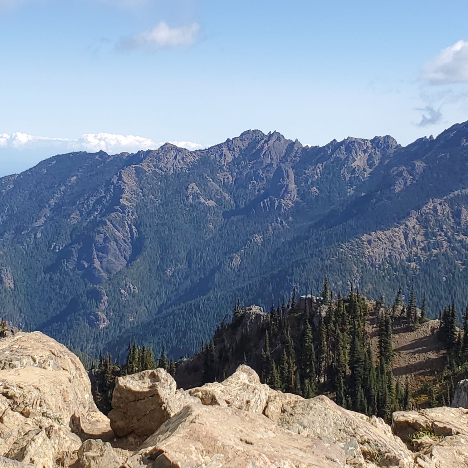 Olympic NP 